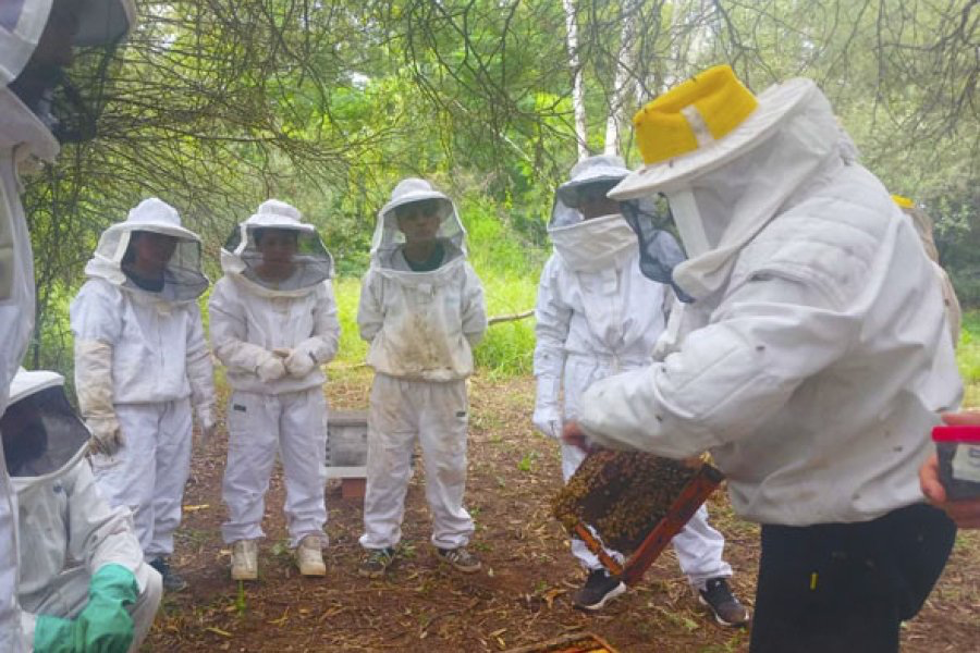Apicultores se capacitaron para el manejo sanitario y nutricional